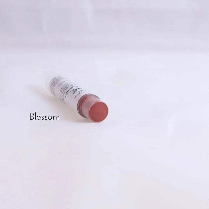 Lipstick Samplers